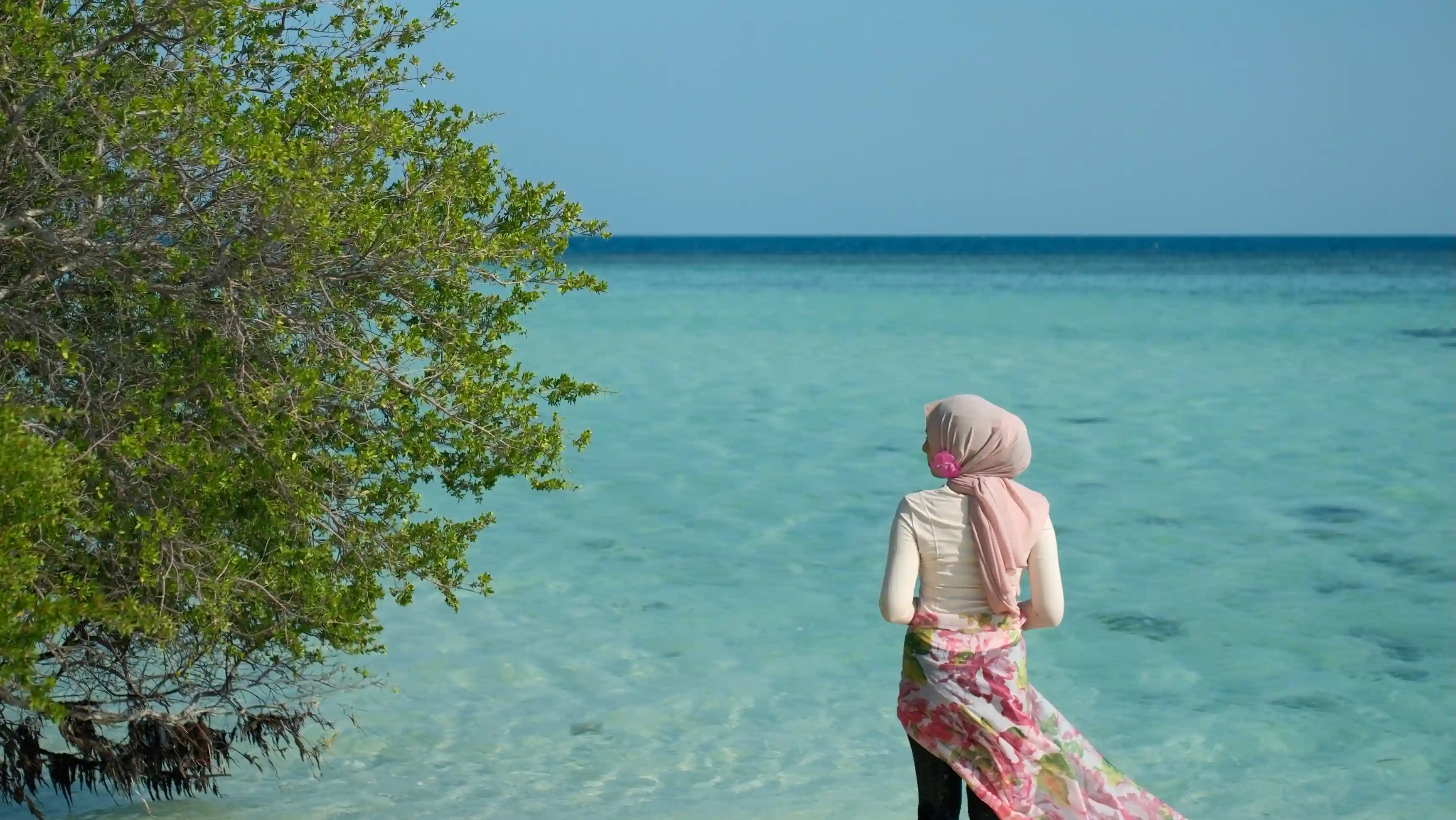 Open Trip Karimunjawa 2 Hari 1 Malam