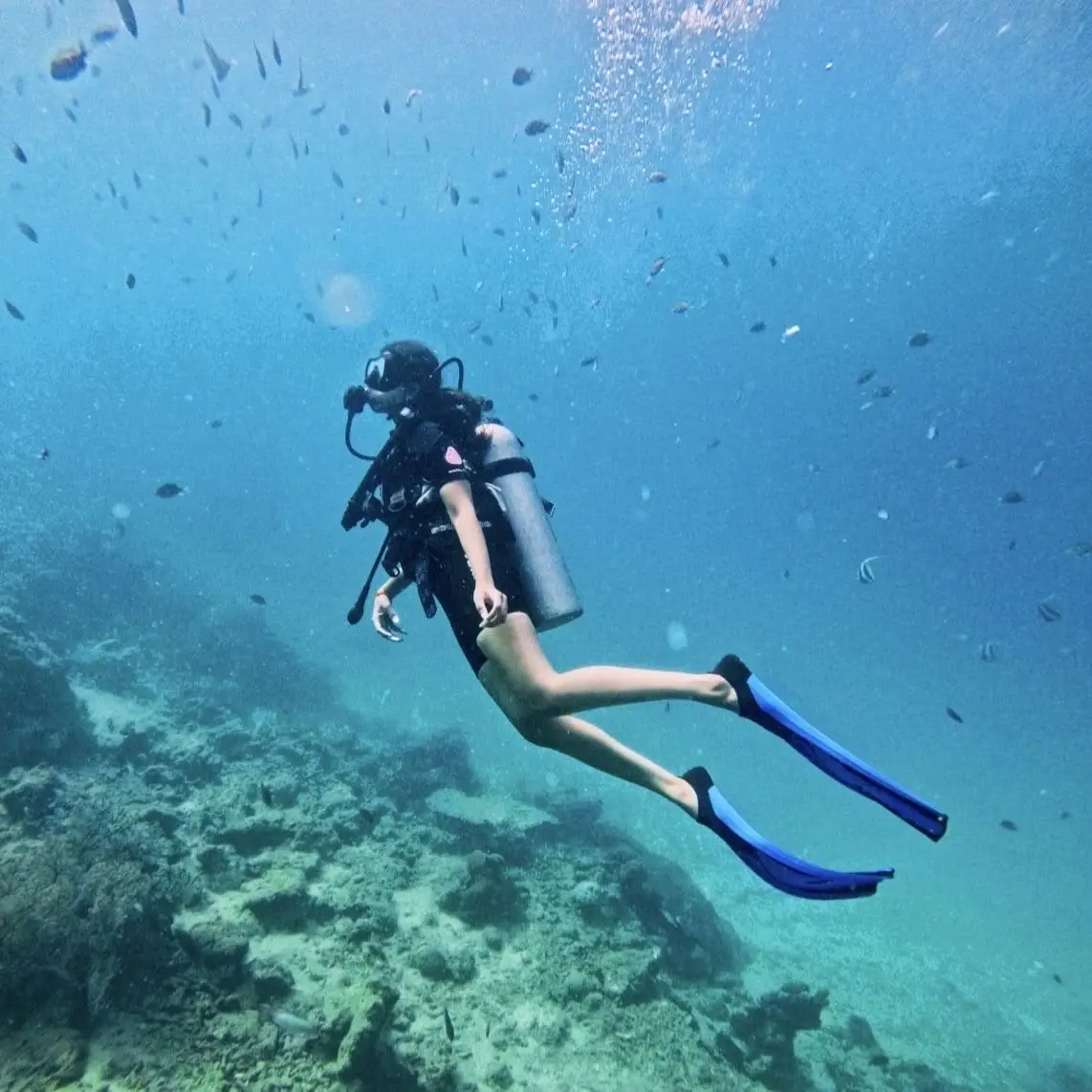 One Day Diving Trip / Fun Scuba Diving